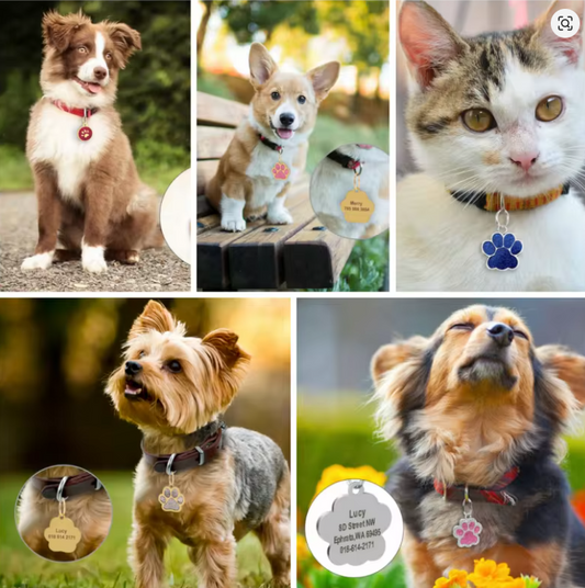 Personalized Dog Tag Free Engraving Pet Id Tags Customized Anti-Lost Dog Name Tag Puppy Collar Pendant Keychain Dog Accessories